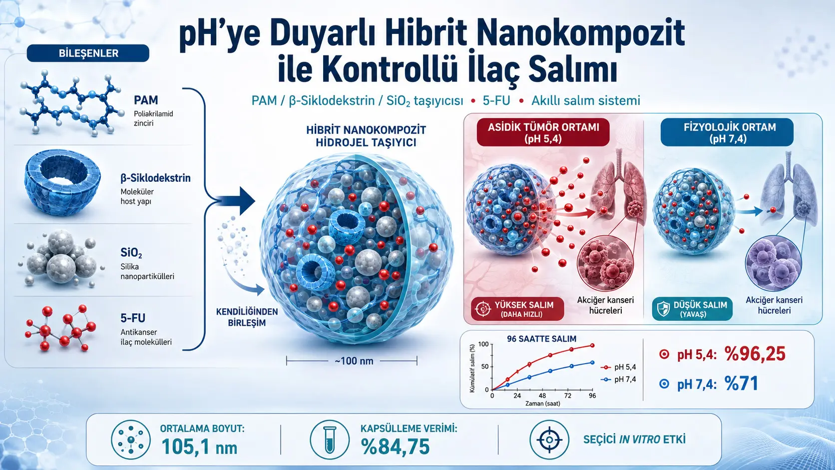 Oʻpka saratoni hujayralari uchun pH ga sezgir 5-Fluorourasil nanotashuvchisi: PAM, siklodekstrin va silika asosidagi tizimning laboratoriya natijalari