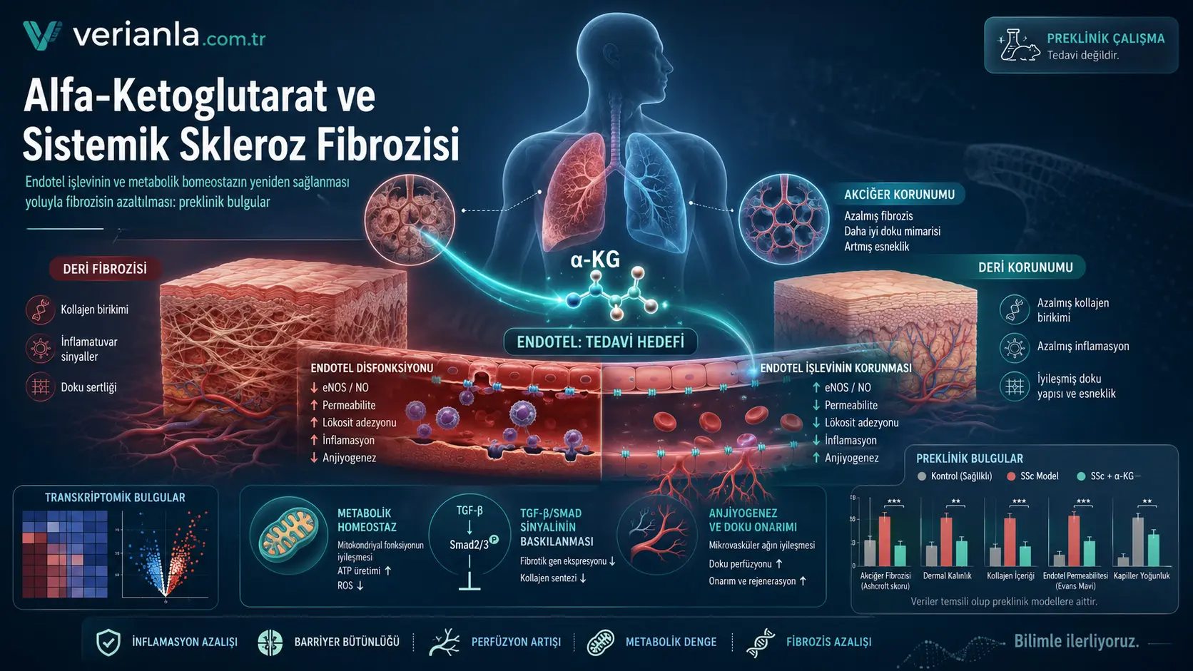 Alfa-Ketoglutarat Sistemik Skleroz Fibrozini Qanday Yengillashtirdi?