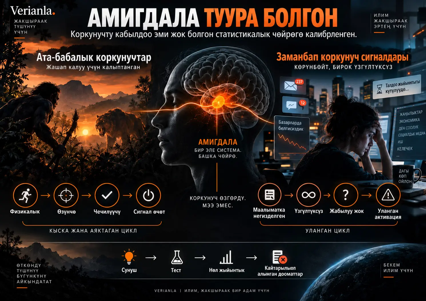 Амигдала Туура Болгон: Эми Жок Статистикалык Чөйрөгө Калибрленген Коркунучту Аныктоо Системасы
