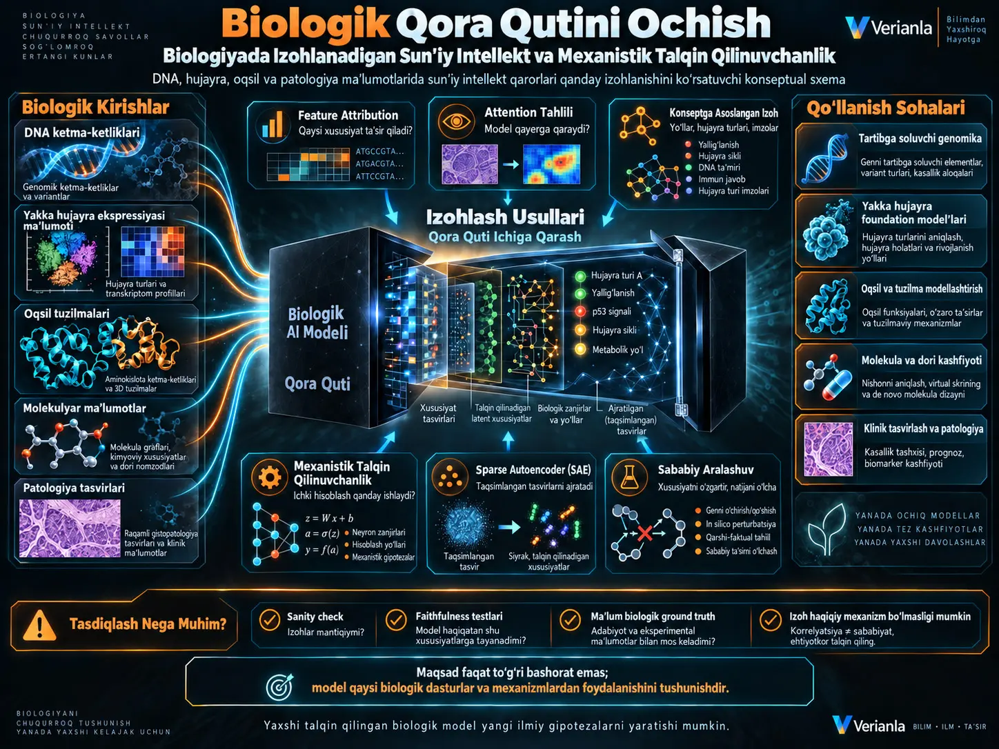 Biologik Qora Qutini Ochish: Biologiyada Izohlanadigan Sun’iy Intellekt va Mexanistik Talqin Qilinuvchanlik Usullari