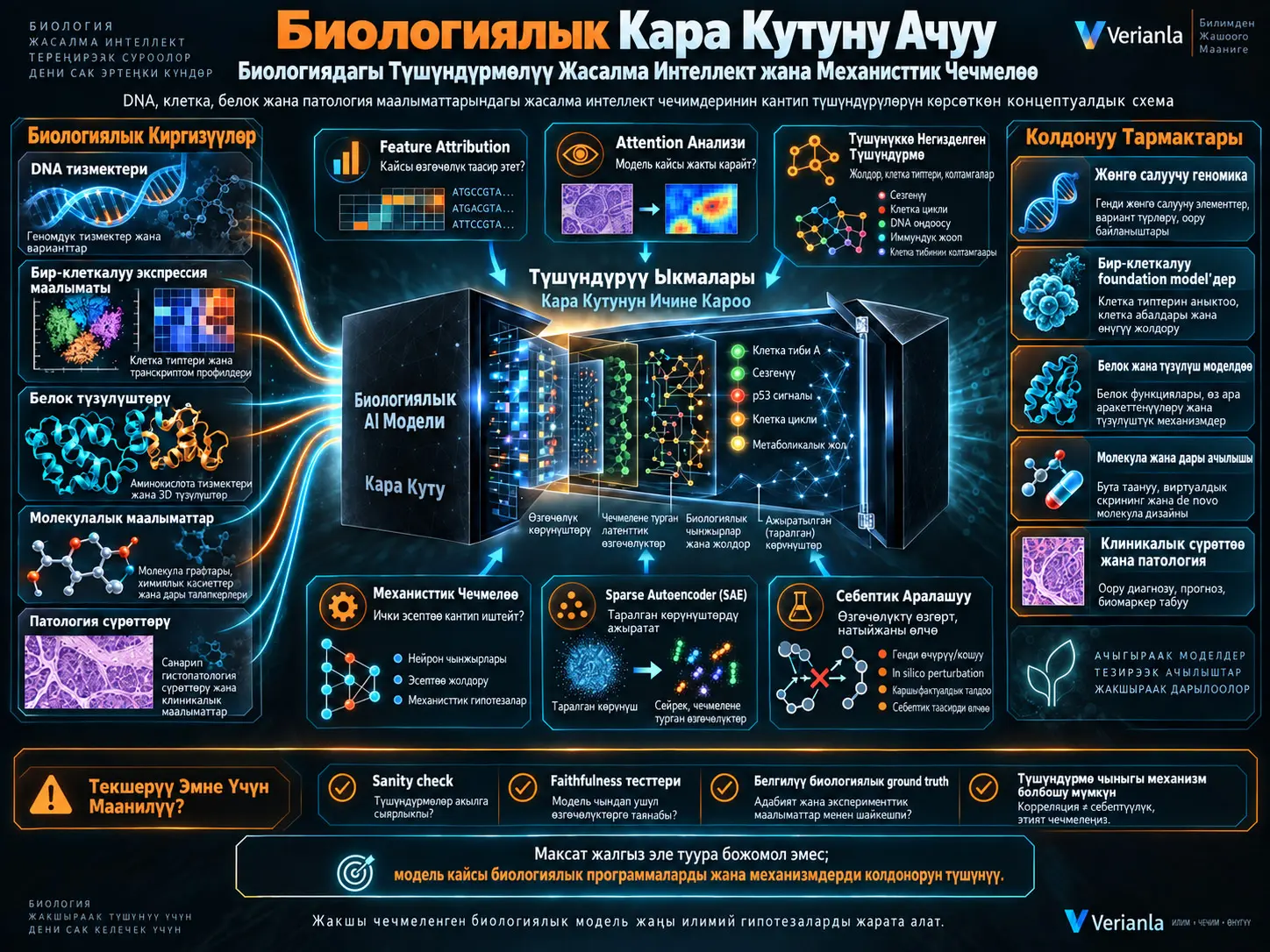 Биологиялык Кара Кутуну Ачуу: Биологиядагы Түшүндүрмөлүү Жасалма Интеллект жана Механисттик Чечмелөө Ыкмалары