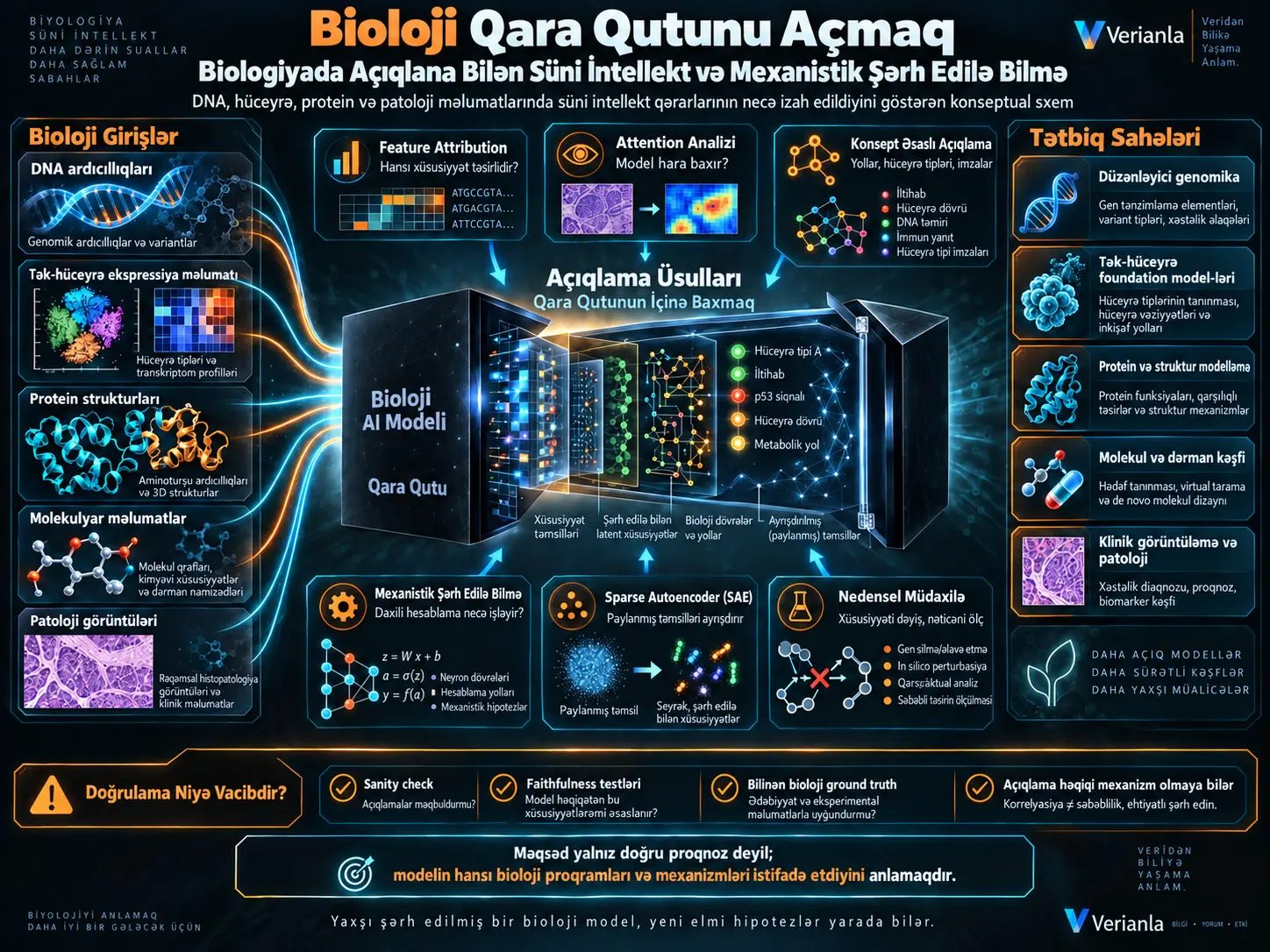 Bioloji Qara Qutunu Açmaq: Biologiyada Açıqlana Bilən Süni İntellekt və Mexanistik Şərh Edilə Bilmə Üsulları