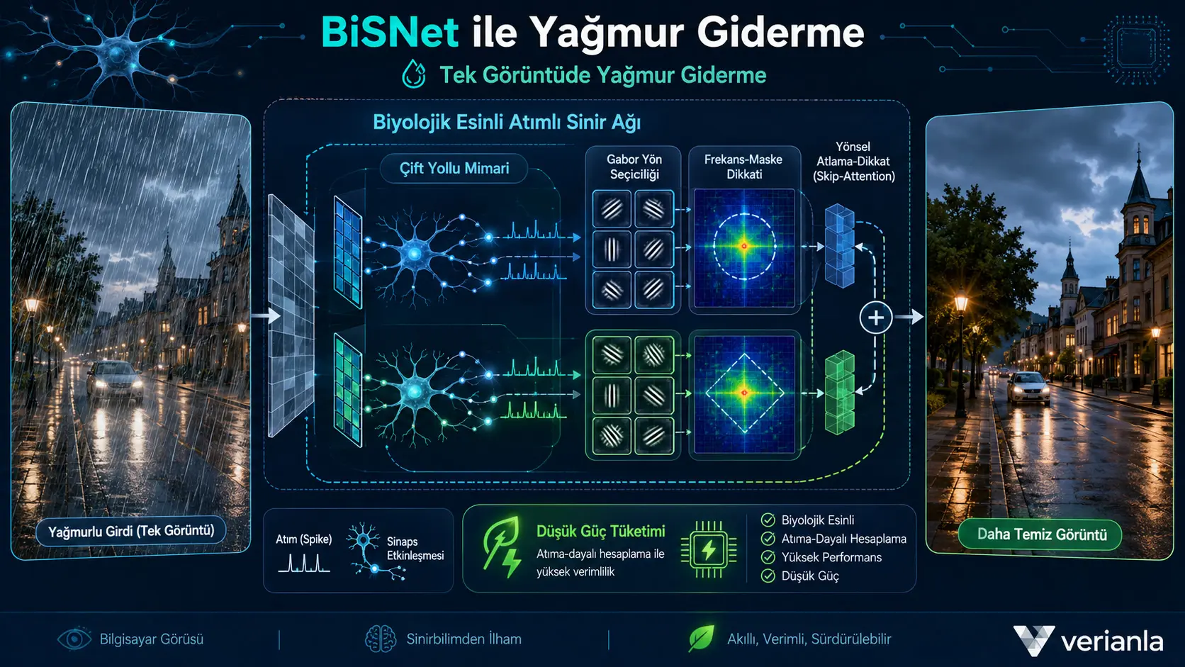 BiSNet: Biologik ko‘rishdan ilhomlangan impulsli neyron tarmoq bilan bitta tasvirdagi yomg‘ir izlarini olib tashlash