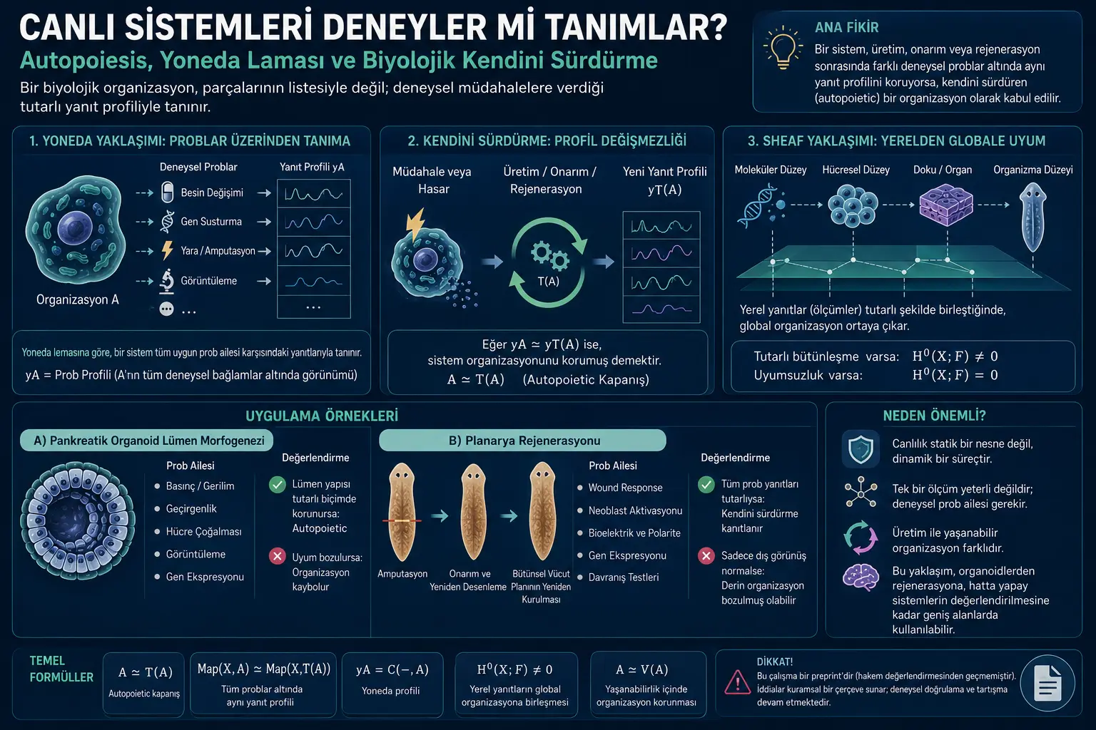Tirik tizimlarni tajribalar belgilaydimi? Autopoiesis, Yoneda lemmasi va biologik o‘zini saqlab qolish