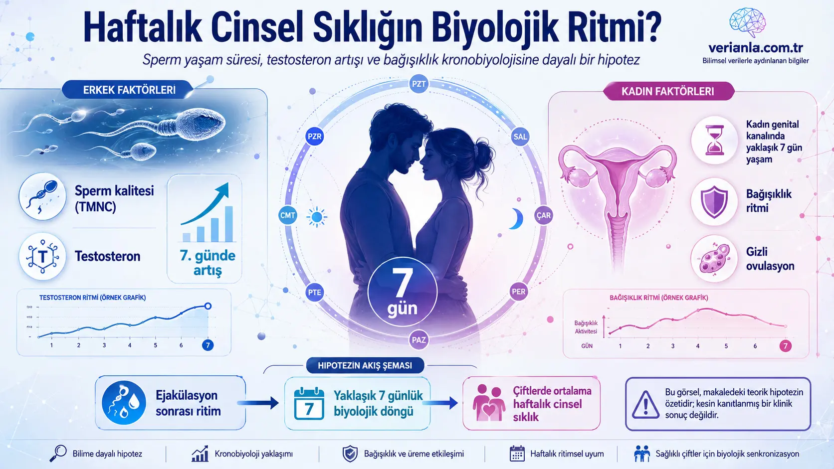 Jinsiy aloqa chastotasining yetti kunlik biologik ritmi bormi? Immun xronobiologiyasiga asoslangan gipoteza