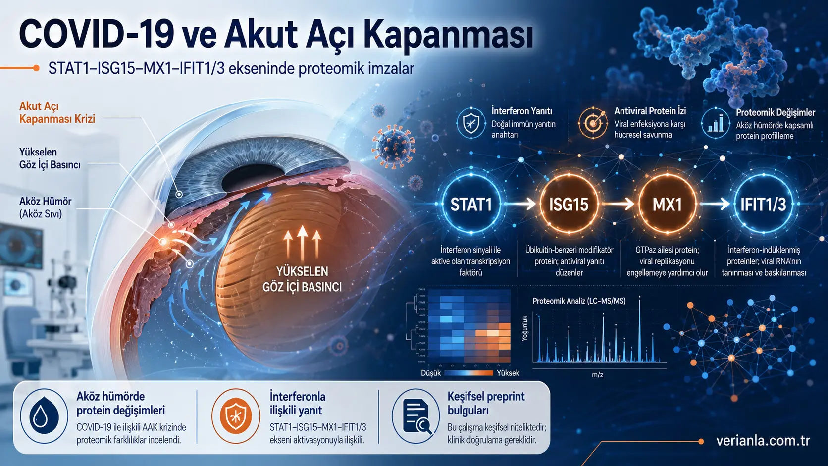 COVID-19 bilan birga kechuvchi o‘tkir burchak yopilishi xurujida ko‘z ichi immunitet izi: STAT1–ISG15–MX1–IFIT1/3 o‘qi