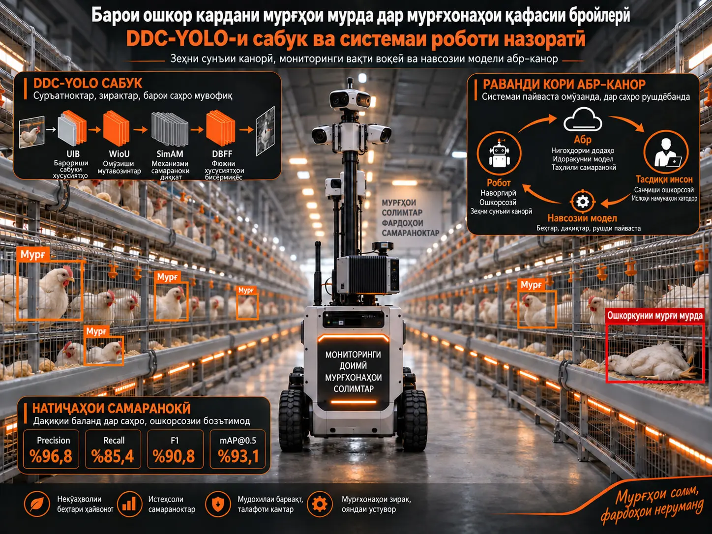 DDC-YOLO-и сабук ва системаи роботи назоратӣ барои ошкор кардани мурғҳои мурда дар мурғхонаҳои қафасии бройлерӣ