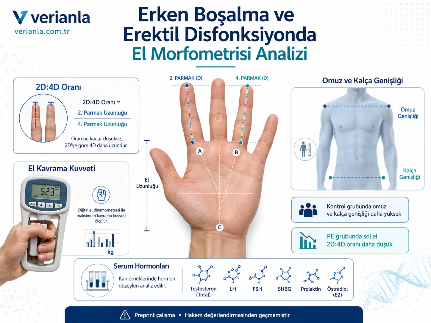 Qo‘l Morfometriyasi, Siqish Kuchi va 2D:4D Nisbati Erkak Cinsel Funksiya Buzilishlari bilan Bog‘liq Bo‘lishi Mumkinmi?