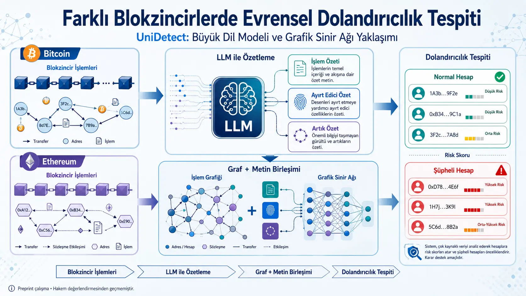 Turli blokcheynlarda firibgarlik hisoblarini yagona model bilan aniqlash: UniDetect’ning katta til modeli va grafik neyron tarmog‘i yondashuvi