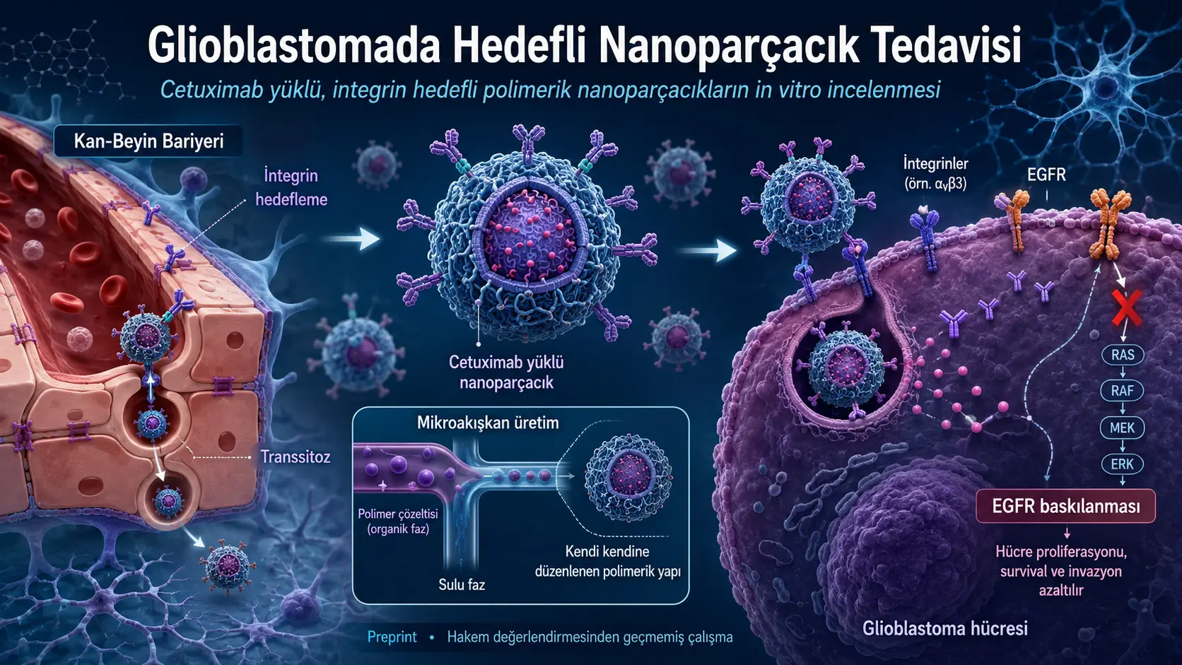 Glioblastomada Qon-Miyali Barayeri Oshish Maqsadida Setuximab Yüklü Nanoparçaciklar