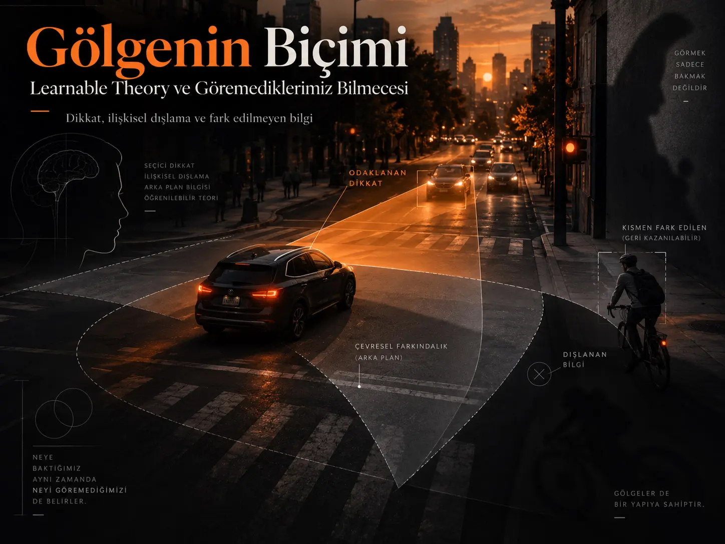 Gölgenin Biçimi: Learnable Theory ve Göremediklerimiz Bilmecesi