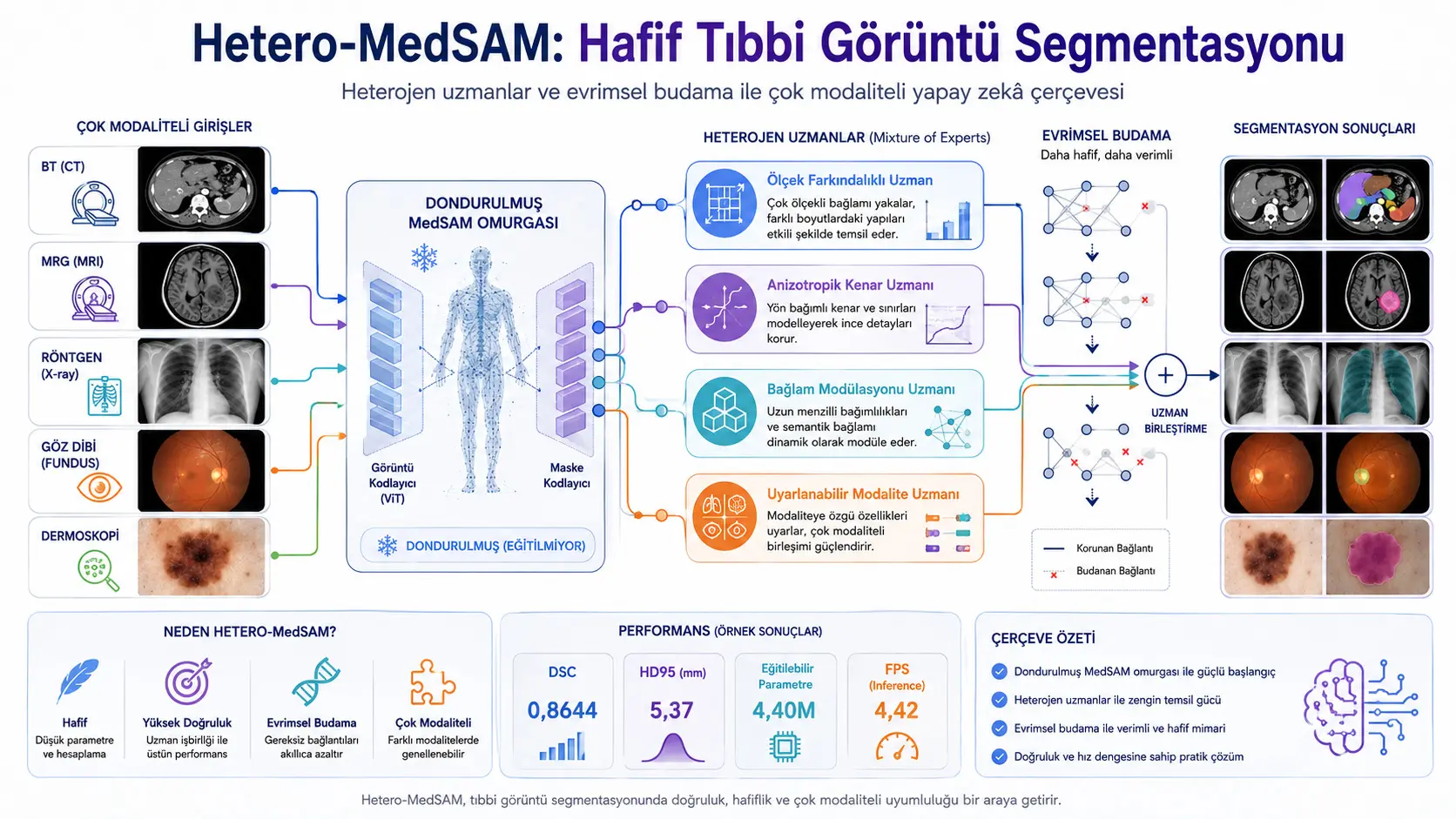 Hetero-MedSAM: Tibbiy tasvir segmentatsiyasini geterogen ekspertlar va evolyutsion kesish bilan yengillashtiruvchi sun’iy intellekt tizimi