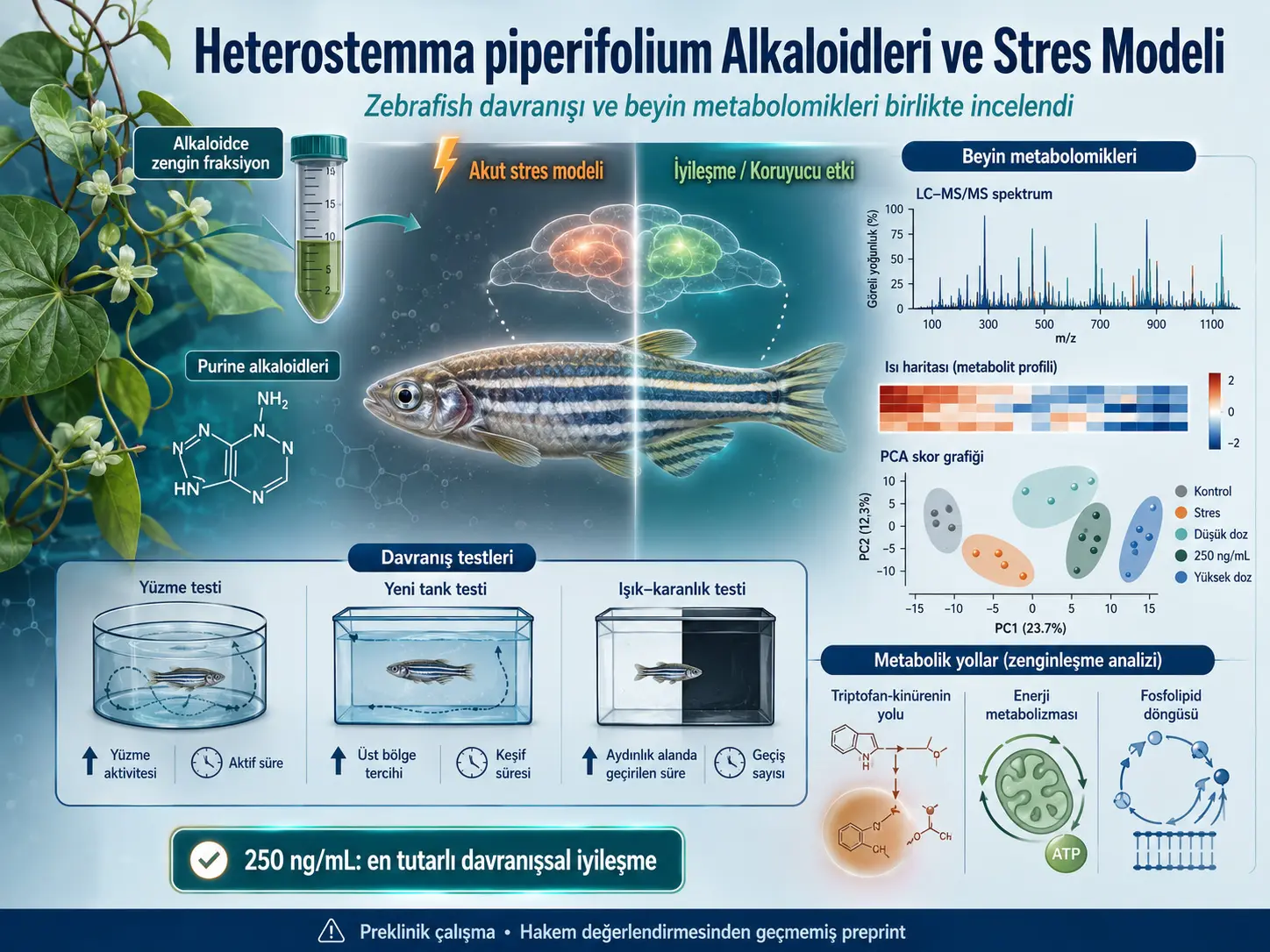 Heterostemma piperifolium Alkaloidlarini Zebrafish O‘tkir Stress Modelida Xulq-atvor va Miya Metabolomikasi Orqali O‘rganish