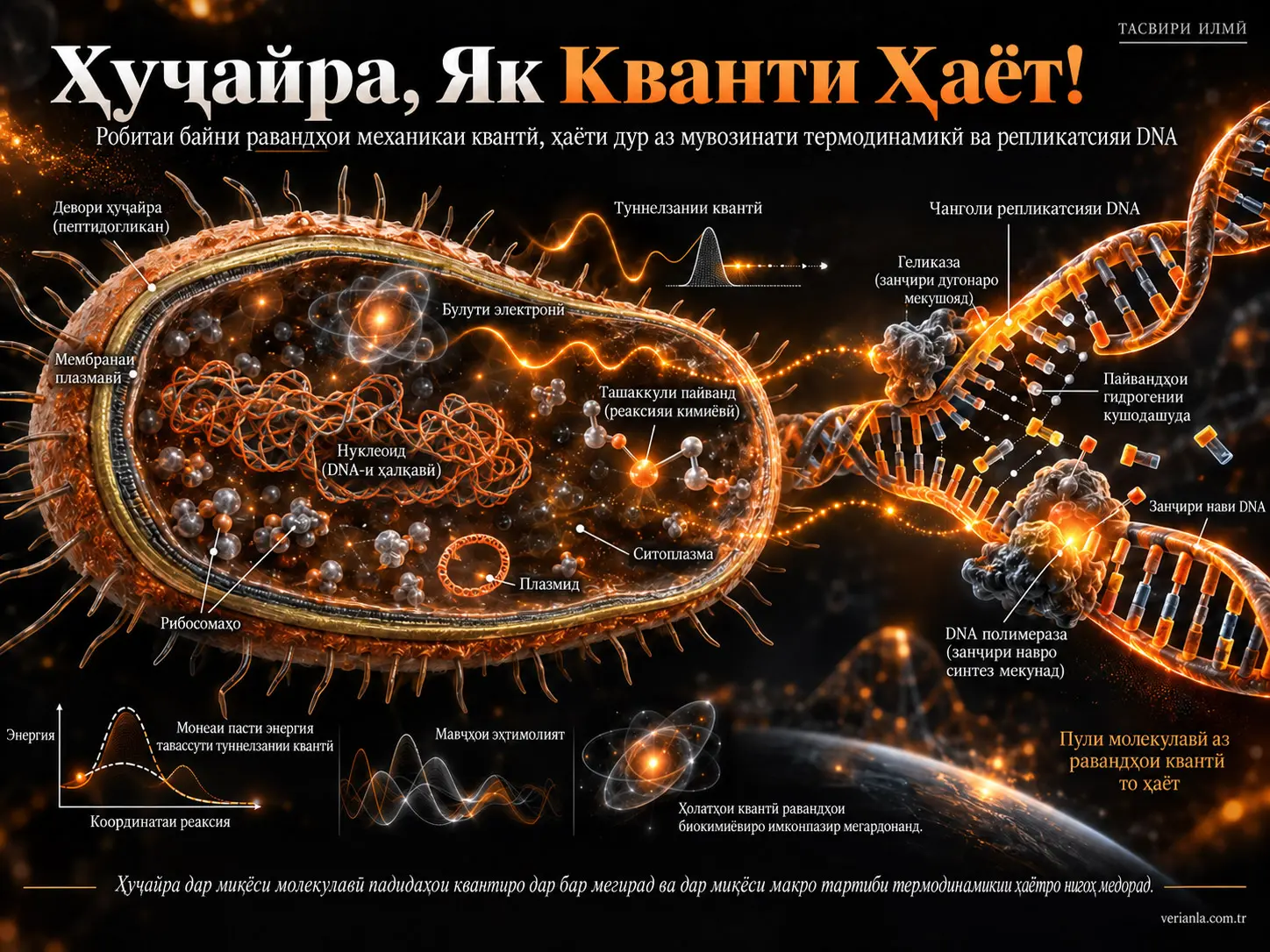 Ҳуҷайра — Як Кванти Ҳаёт!