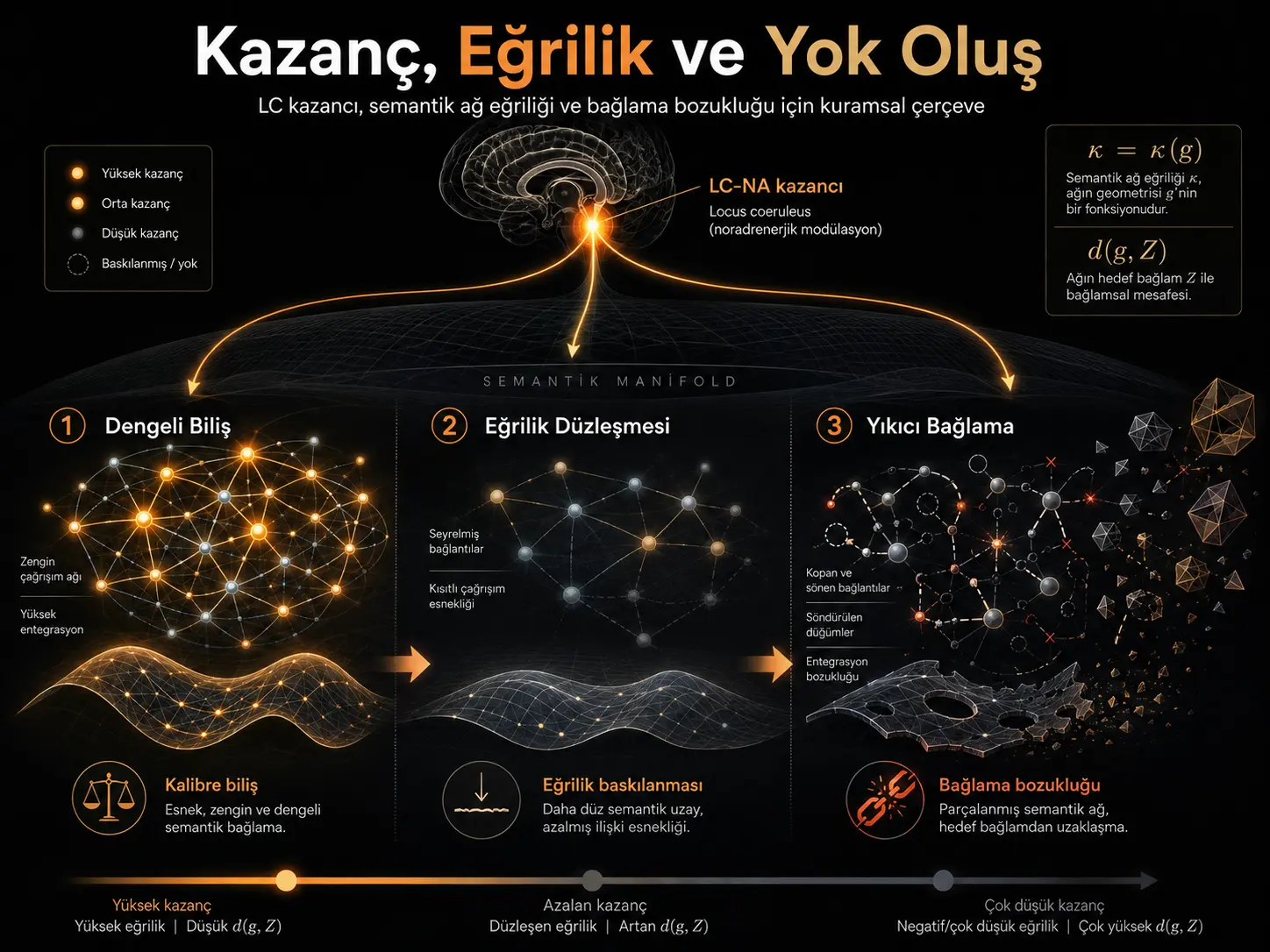 Gain, Egrilik va Yoʻqolish — Locus Coeruleus Gainini, Semantik Tarmoq Egriligini va Giperkompleks Bogʻlash Buzilishini Bogʻlovchi Neyromodulyator–Geometrik Faraz