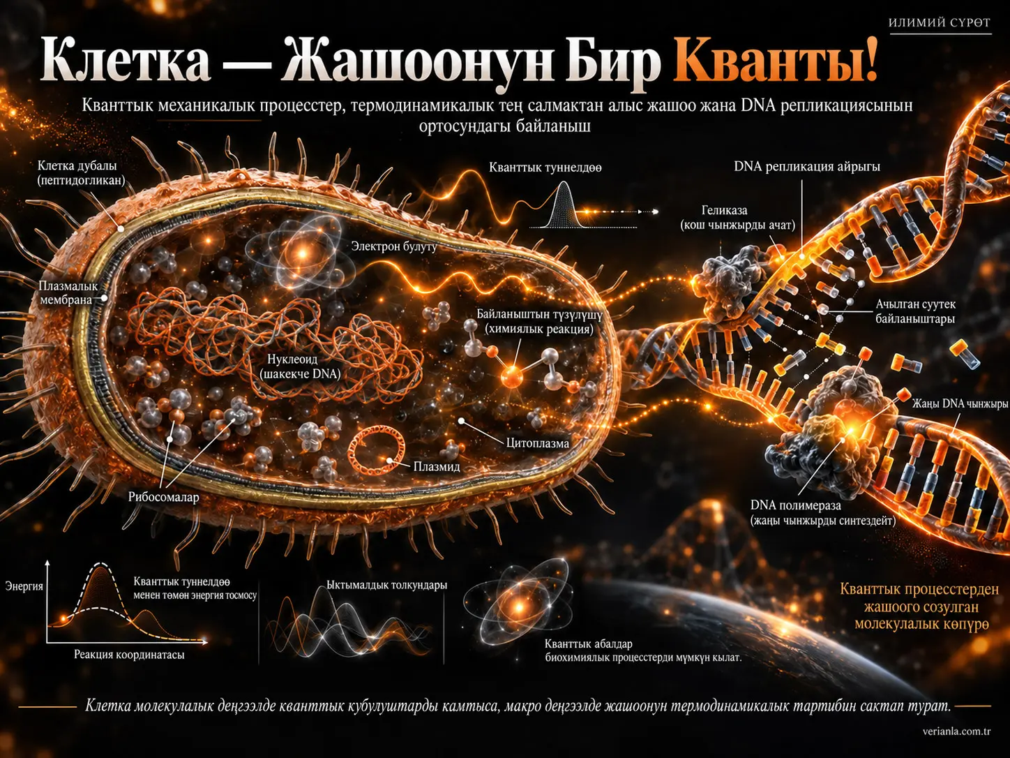 Клетка — Жашоонун Бир Кванты!