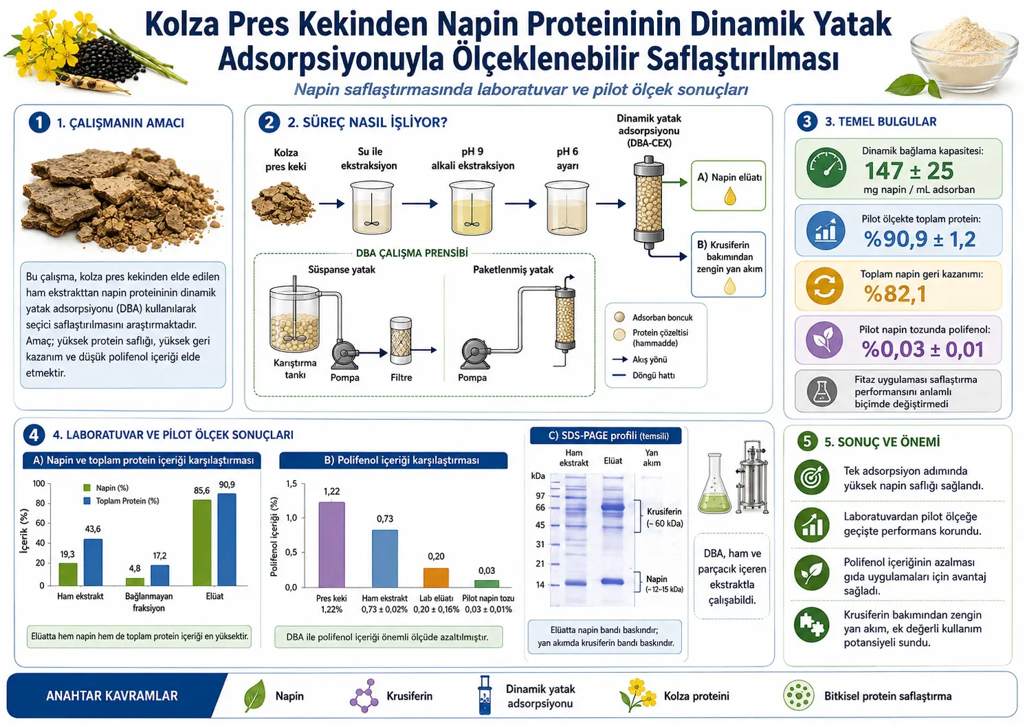 Kolza press kekidan napin proteinini dinamik qatlam adsorbsiyasi bilan masshtablanadigan tarzda tozalash