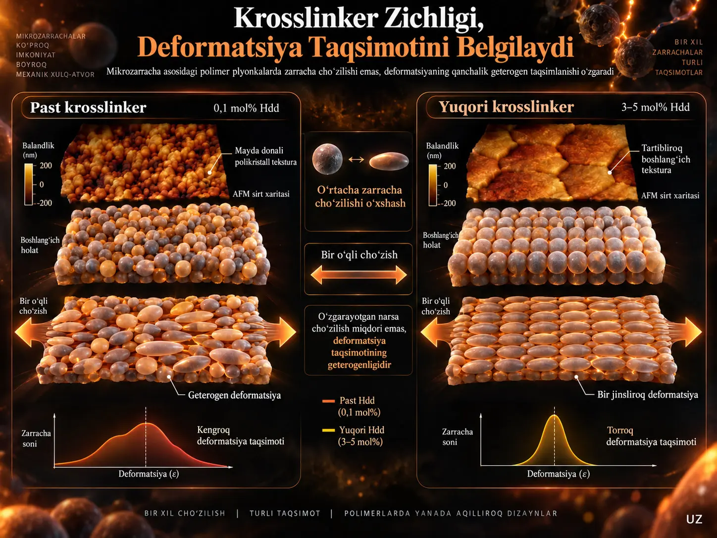 Krosslinker Zichligi Mikrozarracha Asosidagi Polimer Plyonkalarda Zarracha Choʻzilishidan Koʻra Deformatsiya Taqsimotini Boshqaradi