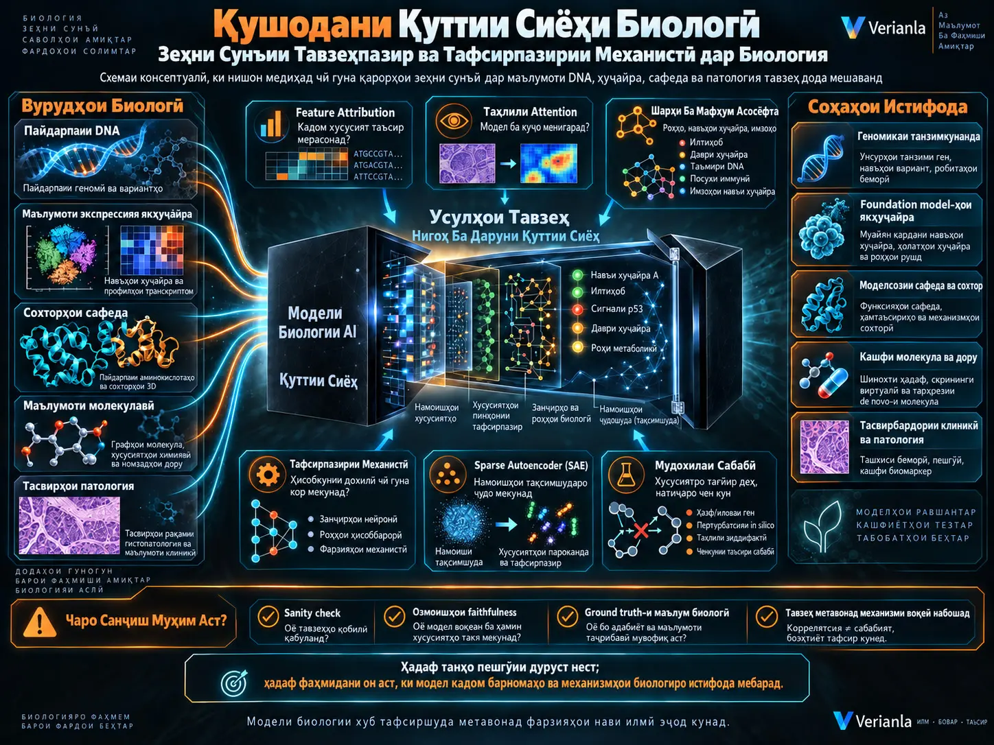 Кушодани Қуттии Сиёҳи Биологӣ: Зеҳни Сунъии Тавзеҳпазир ва Усулҳои Тафсирпазирии Механистӣ дар Биология