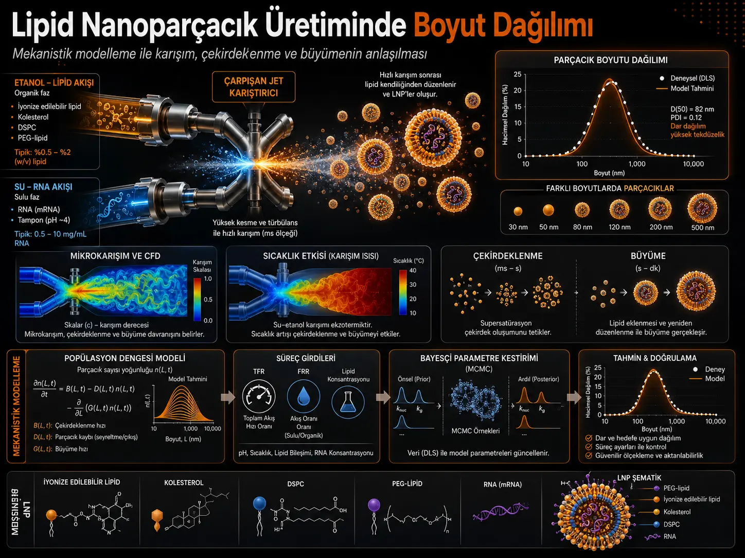 Mexanistik Modellashtirish Orqali Lipid Nanozarrachalar Ishlab Chiqarish Jarayonida Oʻlcham Taqsimotlarini Tushunish