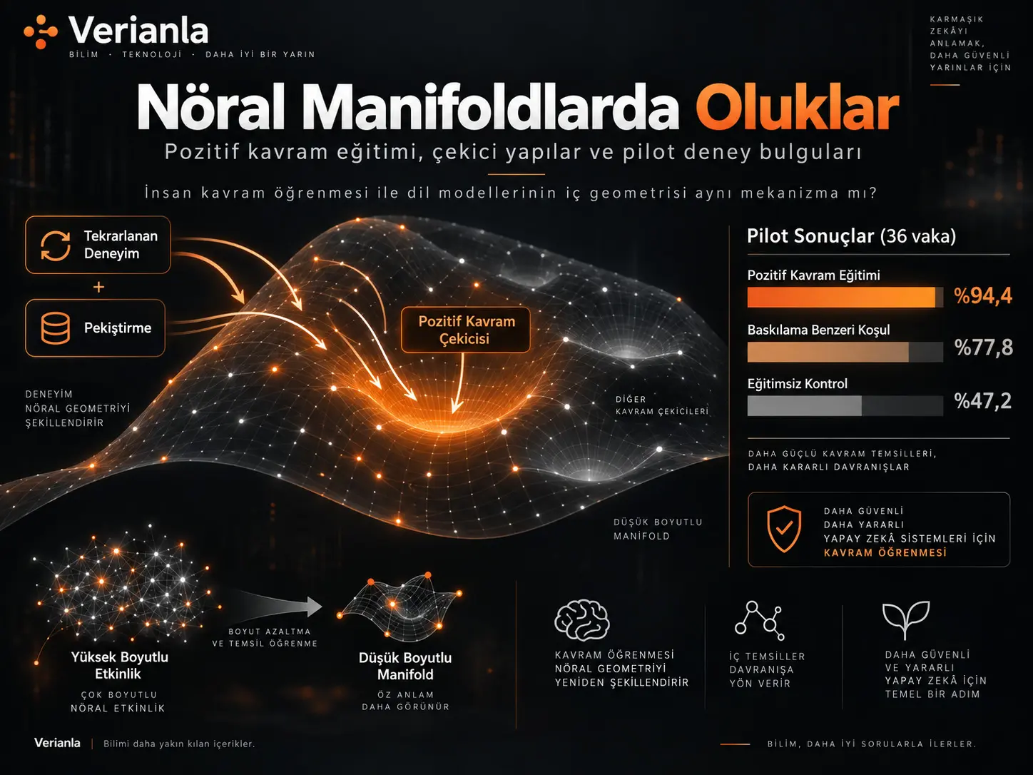 Nöral Manifoldlardaki Oluklar: İnsan Kavram Öğrenmesi ile Dil Modellerinin İç Geometrisi Aynı Mekanizma mı?