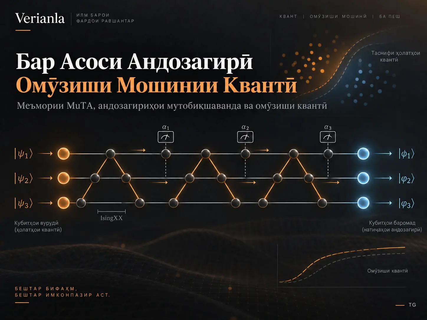 Омӯзиши Мошинии Квантӣ Бар Асоси Андозагирӣ: Шабакаҳои Нейронии Квантии Универсалӣ, Танзимшаванда ва Ба Маҳдудиятҳои Сахтафзор Мутобиқшаванда бо MuTA