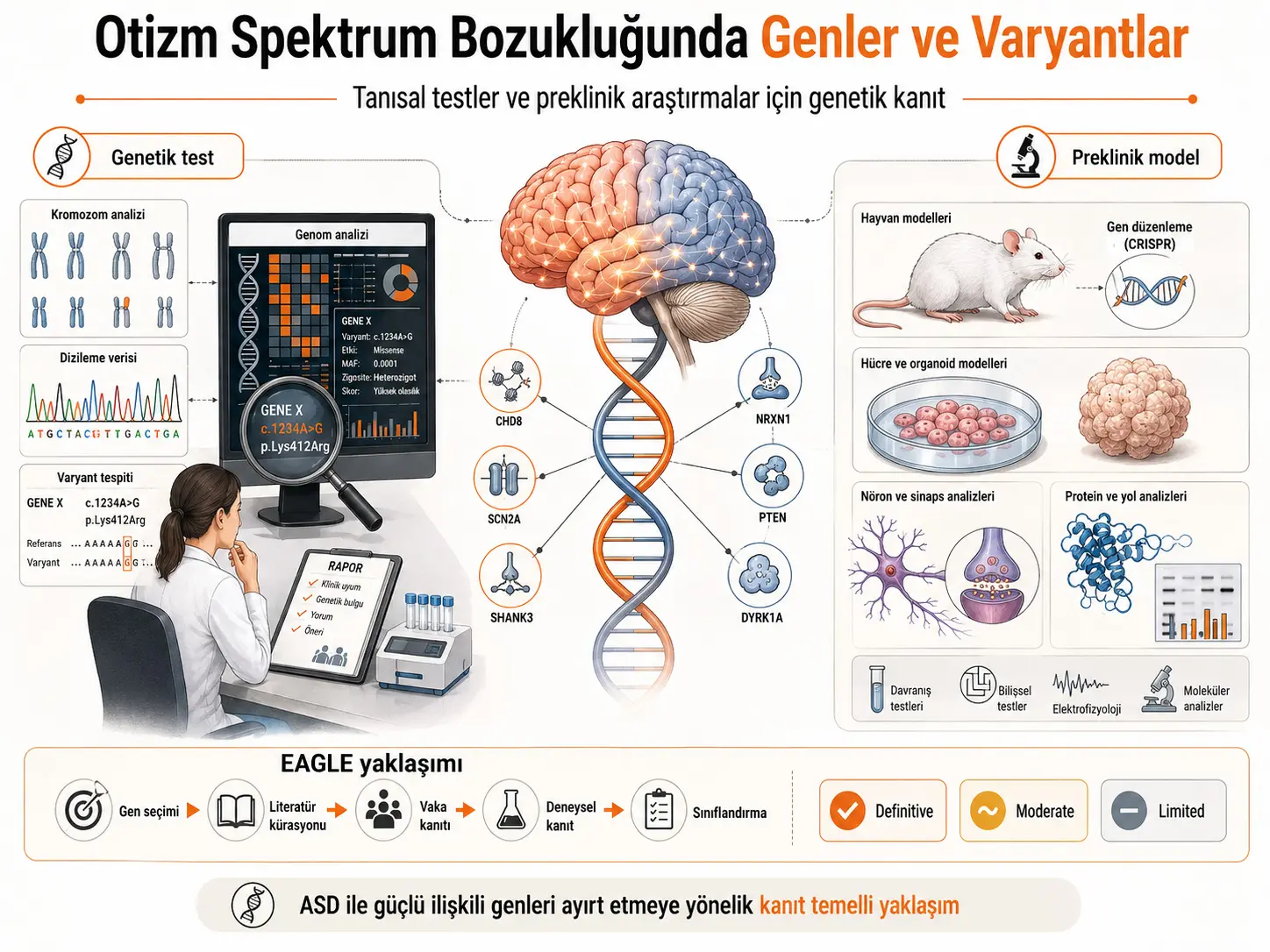 Autizm Spektr Buzilishida Diagnostik Testlar va Preklinik Tadqiqotlar uchun Genlar va Variantlar