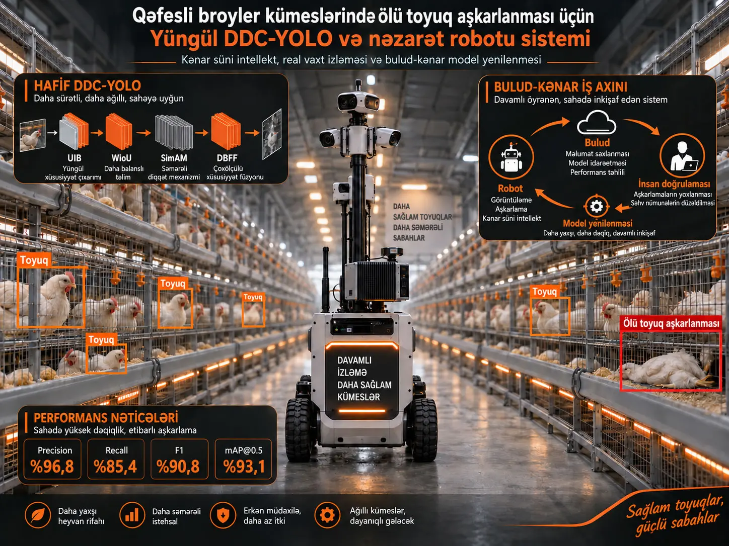 Qəfəsli broyler kümeslərində ölü toyuq aşkarlanması üçün yüngül DDC-YOLO və nəzarət robotu sistemi