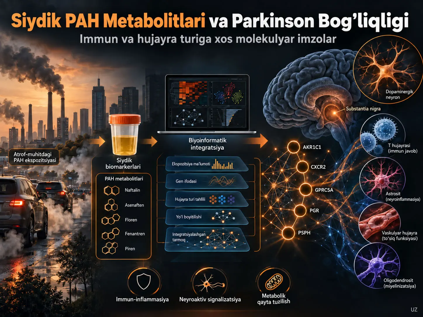 Siydik PAH Metabolitlari Parkinson Kasalligi Bilan Bogʻliq Immun va Hujayra Turiga Xos Molekulyar Imzalar Bilan Qanday Bogʻlangan? Integratsiyalangan Ekspozitsiya-Bioinformatika Tadqiqotining Natijalari