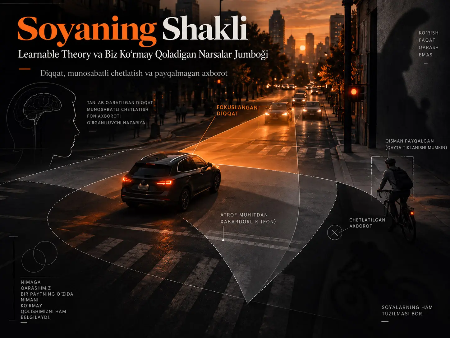 Soyaning Shakli: Learnable Theory va Biz Ko‘rmay Qoladigan Narsalar Jumboği