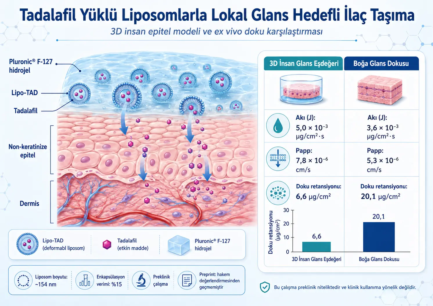 Tadalafil yuklangan liposomalar bilan lokal glansga dori yetkazish: 3D inson epiteliy modeli va Ex Vivo to‘qima qiyoslanishi