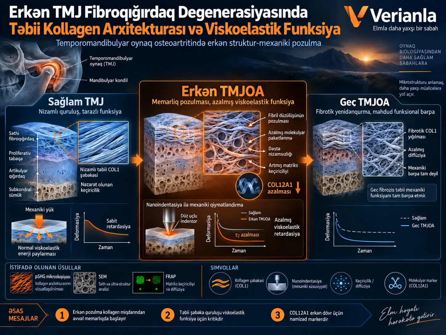 Təbii Kollagen Arxitekturası Erkən Temporomandibulyar Oynaq Fibroqığırdaq Degenerasiyasında Viskoelastik Funksiyanı Formalaşdırır