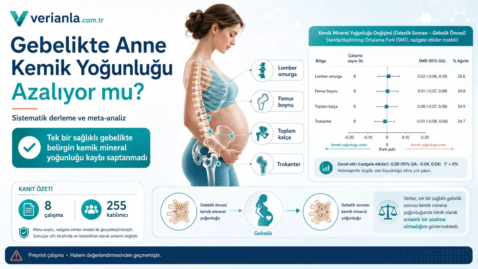 Bitta homiladorlik onaning suyak mineral zichligini kamaytiradimi?