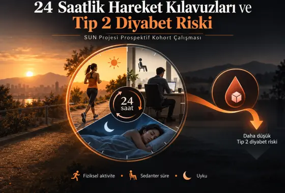 24 Saatlik Hareket Kılavuzlarına Uyum ve Tip 2 Diyabet Riski: SUN Projesinden Prospektif Kohort Bulguları