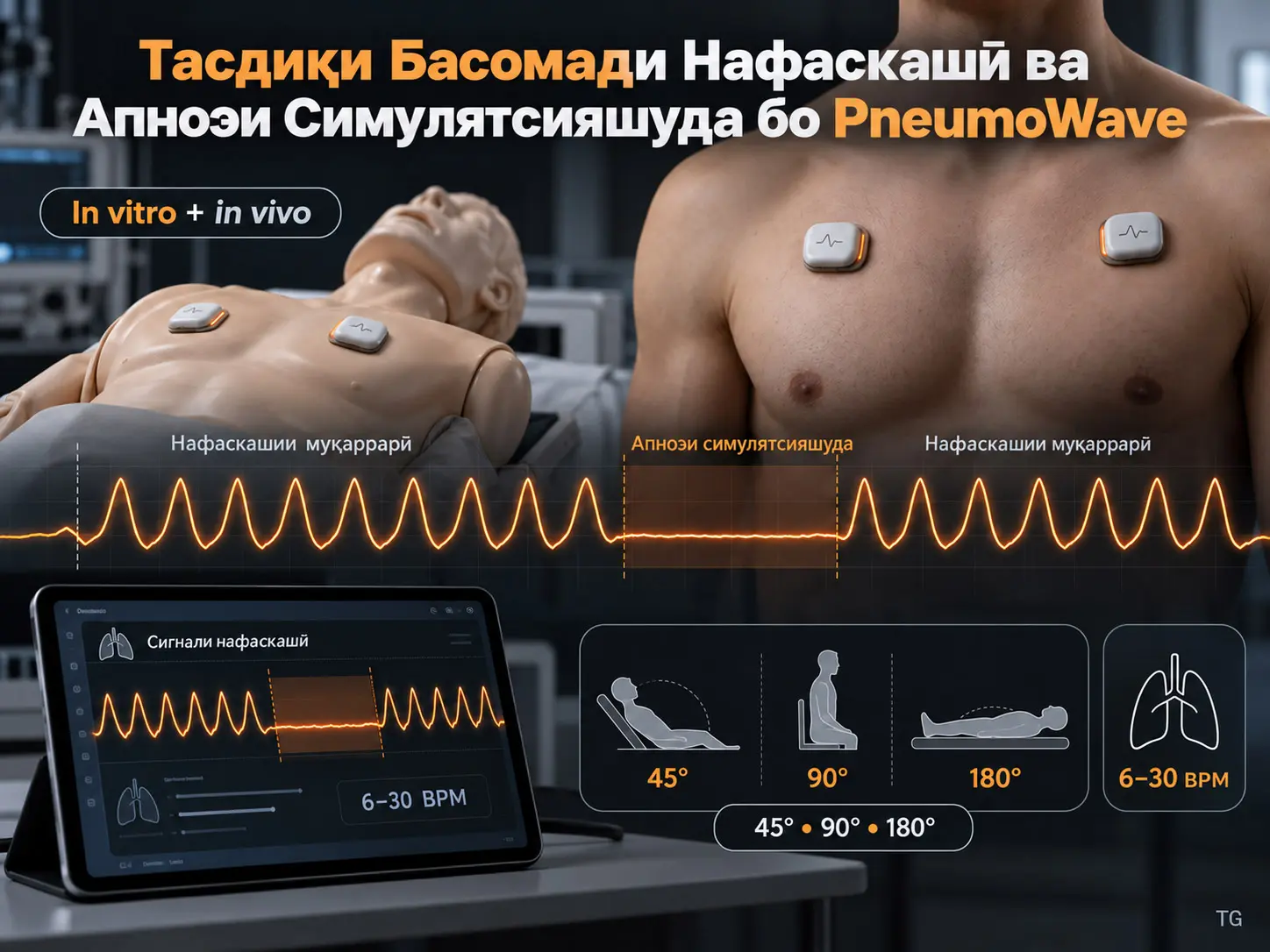 Арзёбии Басомади Нафаскашӣ ва Апноэи Симулятсияшуда бо Биосенсори PneumoWave: Тасдиқи In Vitro ва In Vivo