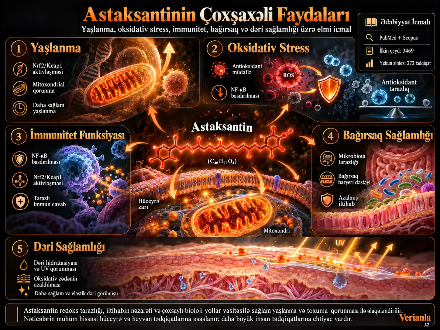 Astaksantinin Yaşlanma, Oksidativ Stress, İmmun Funksiya Pozğunluğu, Bağırsaq və Dəri Sağlamlığındakı Çoxşaxəli Faydalarının Araşdırılması