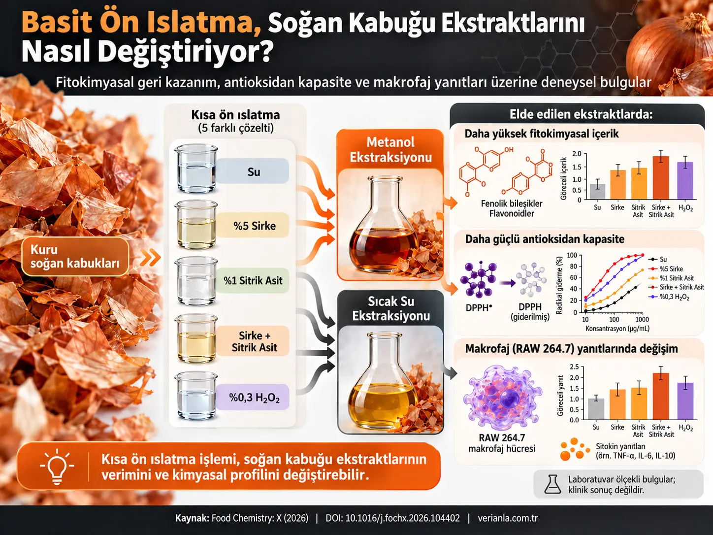 Basit Ön Islatmanın Soğan Kabuğu Ekstraktlarında Fitokimyasal Geri Kazanım, Antioksidan Kapasite ve Makrofaj Yanıtları Üzerindeki Etkisi