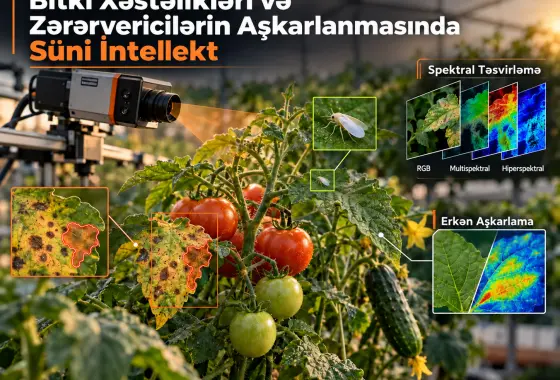 Bitki Xəstəlikləri və Zərərvericilərin Aşkarlanmasında Süni İntellekt Metodları: İcmal