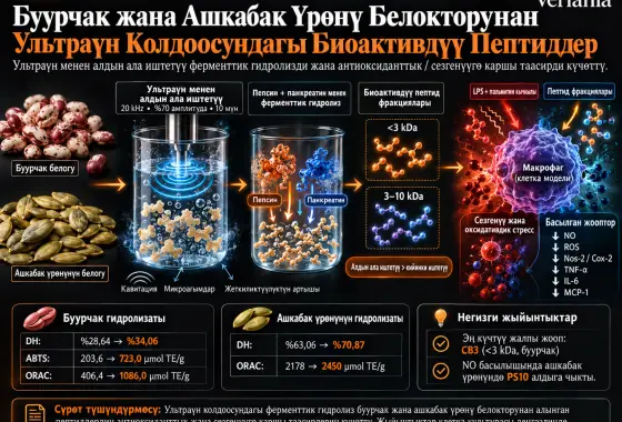 Буурчак жана Ашкабак Үрөнү Белокторунан Ультраүн Колдоосундагы Ферменттик Гидролизаттар: Антиоксиданттык жана Сезгенүүгө Каршы Касиеттер