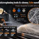 Buzlu Sirkə Turşusu Məhlullarından Elektrospinninq Üsulu ilə Alınmış Zein Nanoliflərinin Yaranması və Xassələri: Proses Dəyişənləri və Səthi Aktiv Maddələrin Təsirləri