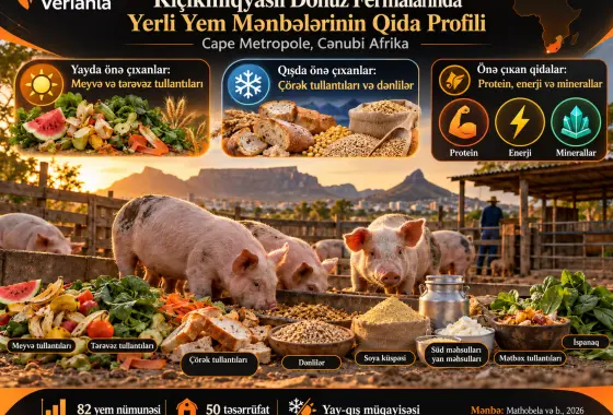 Cape Metropole, Cənubi Afrikadakı Kiçikmiqyaslı Fermalarda Yerli Donuz Yemi Mənbələrinin Qida Profillənməsi