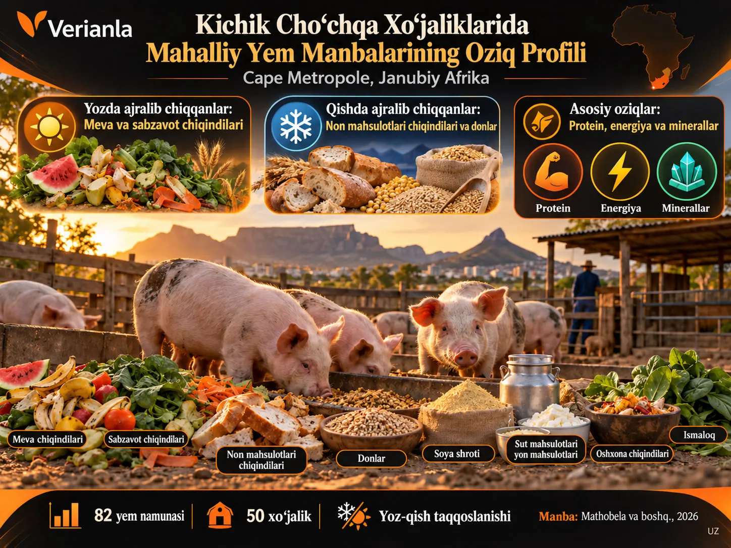 Cape Metropole, Janubiy Afrikadagi Kichik Xoʻjaliklarda Mahalliy Choʻchqa Yemi Manbalarining Oziq Profilini Aniqlash