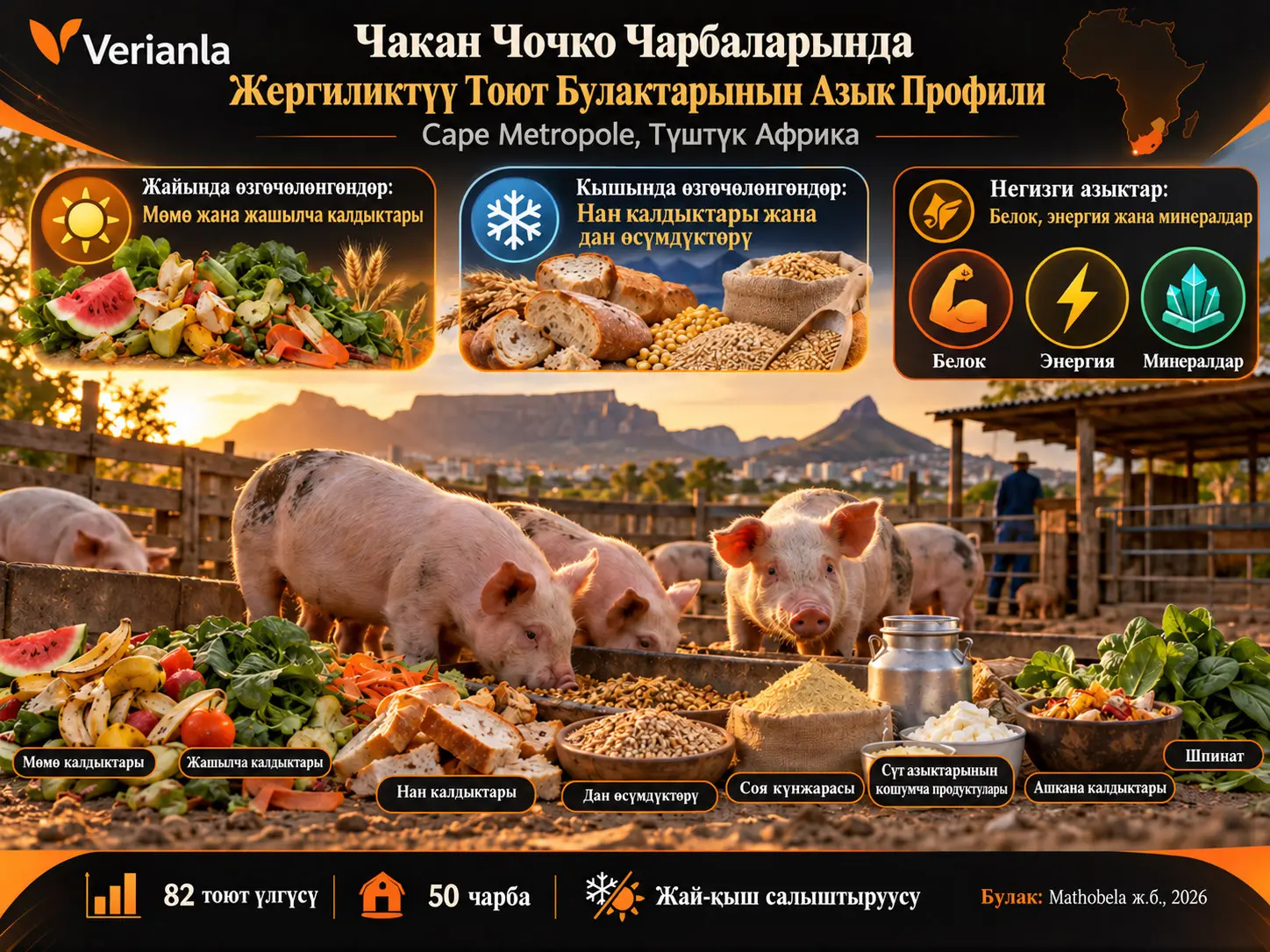 Cape Metropole, Түштүк Африкадагы Чакан Чарбаларда Жергиликтүү Чочко Тоют Булактарынын Азык Профилдөөcү