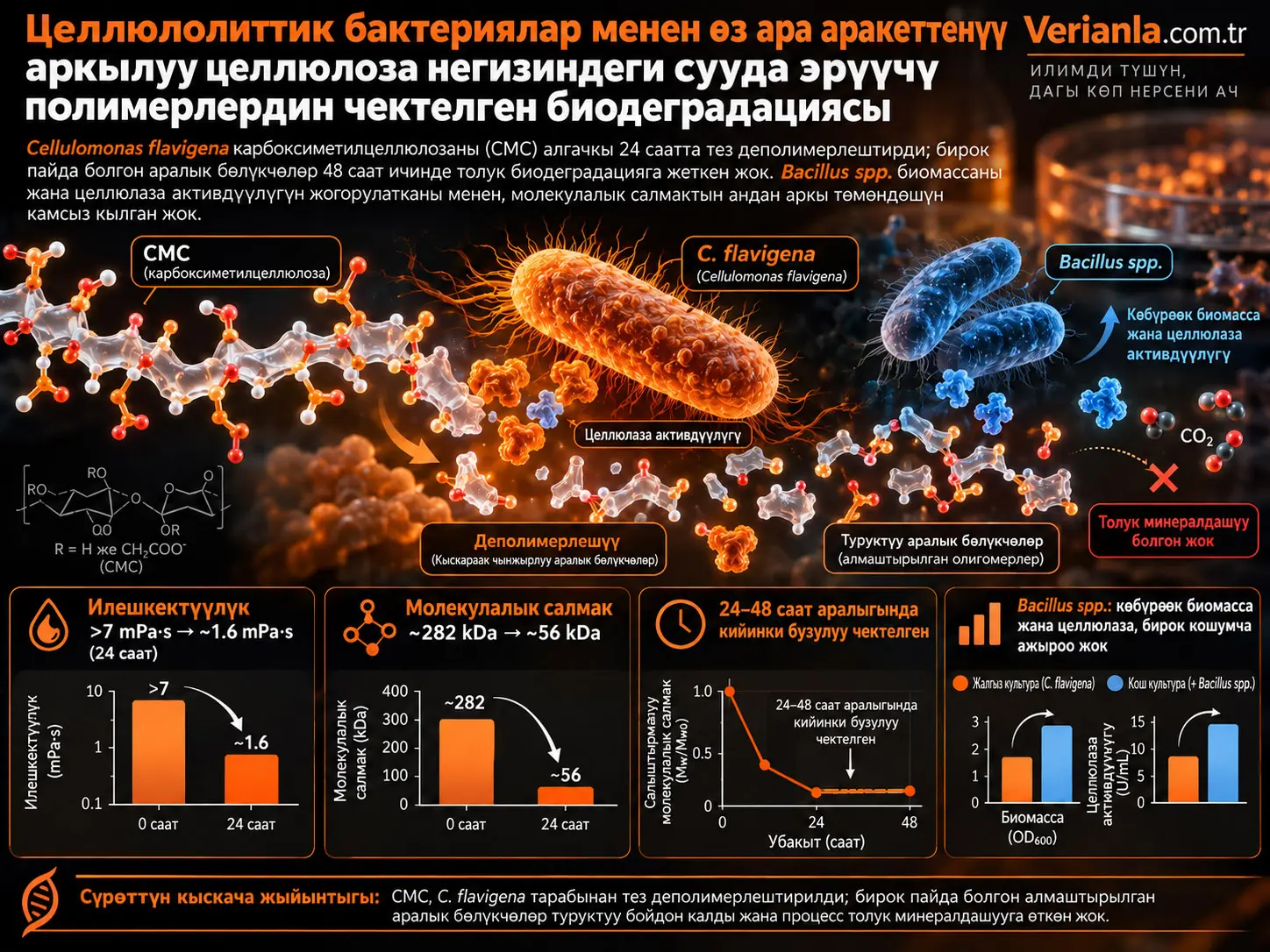 Целлюлолиттик бактериялар менен өз ара аракеттенүү аркылуу целлюлоза негизиндеги сууда эрүүчү полимерлердин чектелген биодеградациясы