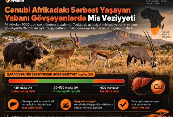 Cənubi Afrika Bölgəsində Sərbəst Yaşayan Yabanı Gövşəyənlərin Mis Qidalanma Vəziyyəti