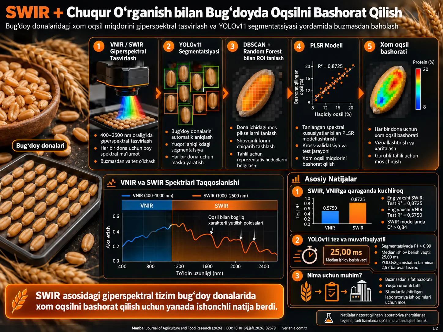 Chuqur O‘rganish Asosidagi Segmentatsiya bilan Birlashtirilgan SWIR Giperspektral Tasvirlash orqali Bug‘doy Donlarida Xom Protein Miqdorini Baholash