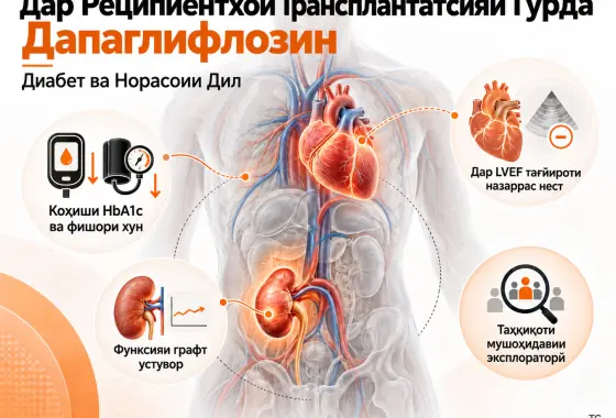 Дапаглифлозин ҳамчун Табобати Иловагӣ дар Реципиентҳои Трансплантатсияи Гурда бо Диабет ва Норасоии Дил: Таҳқиқоти Мушоҳидавии Эксплораторӣ