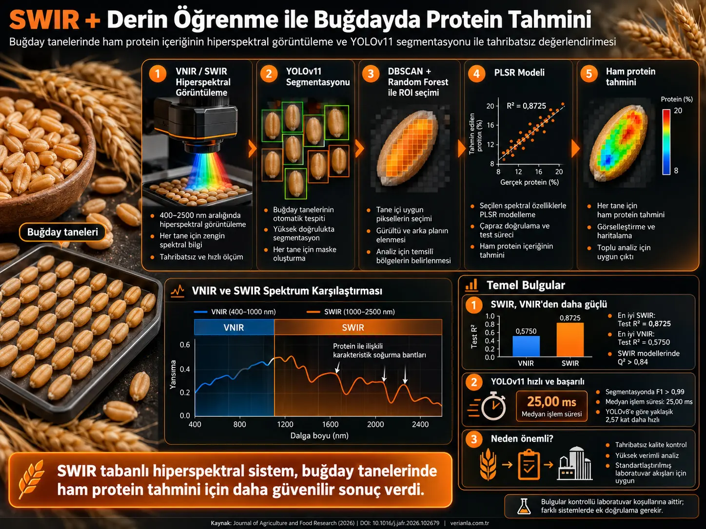 Derin Öğrenme Tabanlı Segmentasyonla Birleştirilmiş SWIR Hiperspektral Görüntüleme ile Buğday Tanelerinde Ham Protein İçeriğinin Değerlendirilmesi