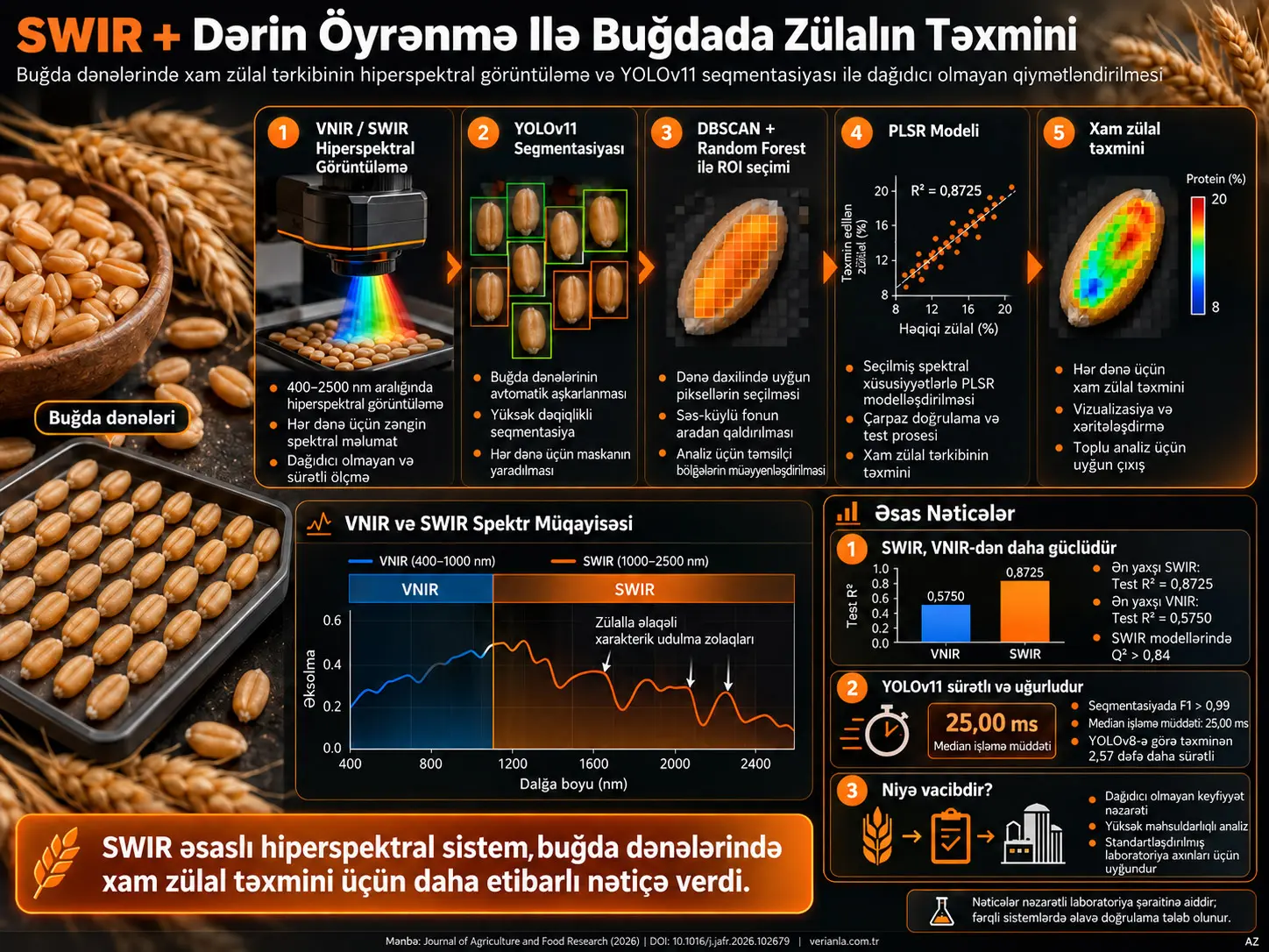 Dərin Öyrənmə Əsaslı Seqmentasiya ilə Birləşdirilmiş SWIR Hiperspektral Görüntüləmə vasitəsilə Buğda Dənələrində Xam Protein Miqdarının Qiymətləndirilməsi