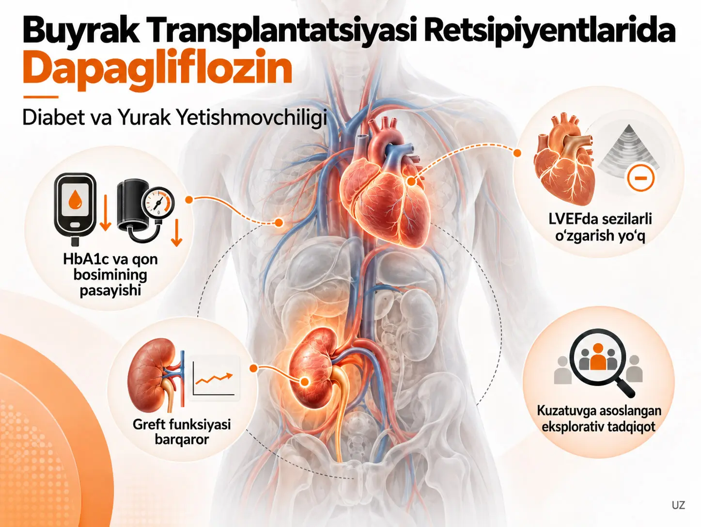 Diabet va Yurak Yetishmovchiligi Bo‘lgan Buyrak Transplantatsiyasi Retsipiyentlarida Qo‘shimcha Davolash Sifatida Dapagliflozin: Kuzatuvga Asoslangan Eksplorativ Tadqiqot